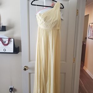 Beautiful J Crew gown